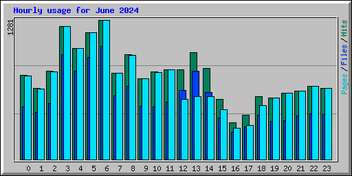 Hourly usage for June 2024