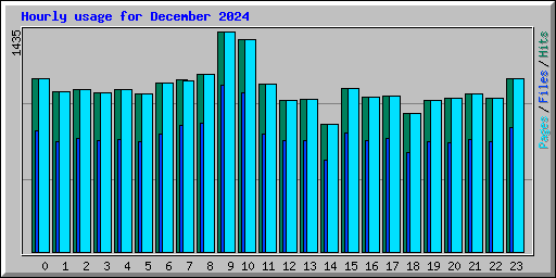 Hourly usage for December 2024