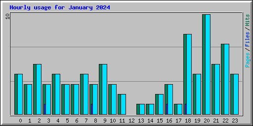 Hourly usage for January 2024