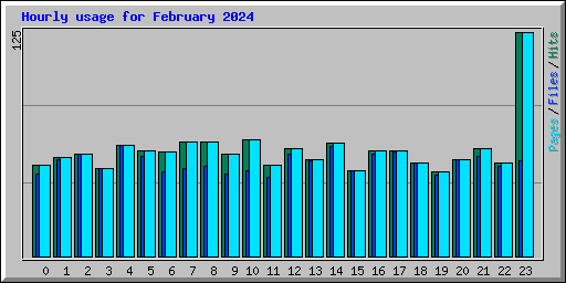 Hourly usage for February 2024