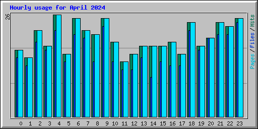 Hourly usage for April 2024