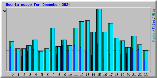 Hourly usage for December 2024